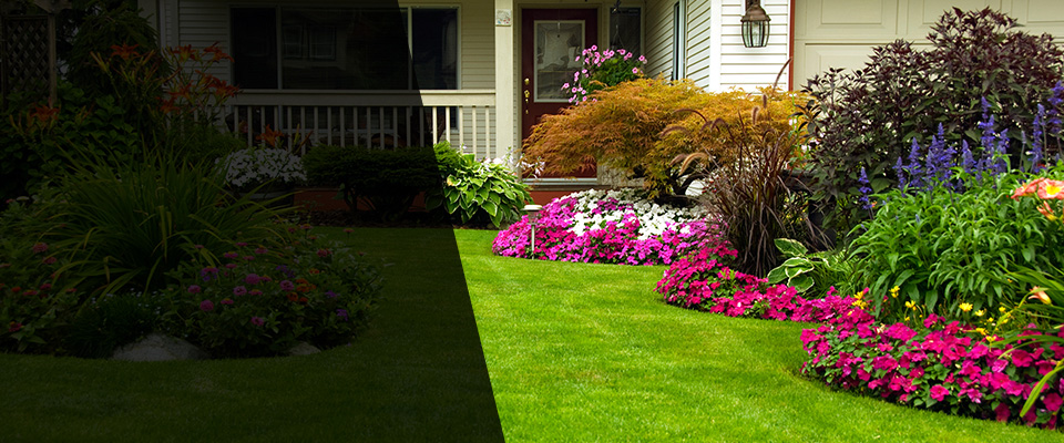 Tenstrike Landscapers