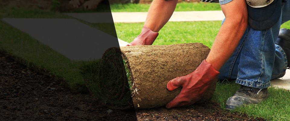Tenstrike Landscapers
